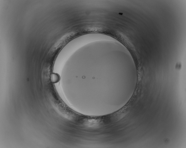 X0000114620163200911101222