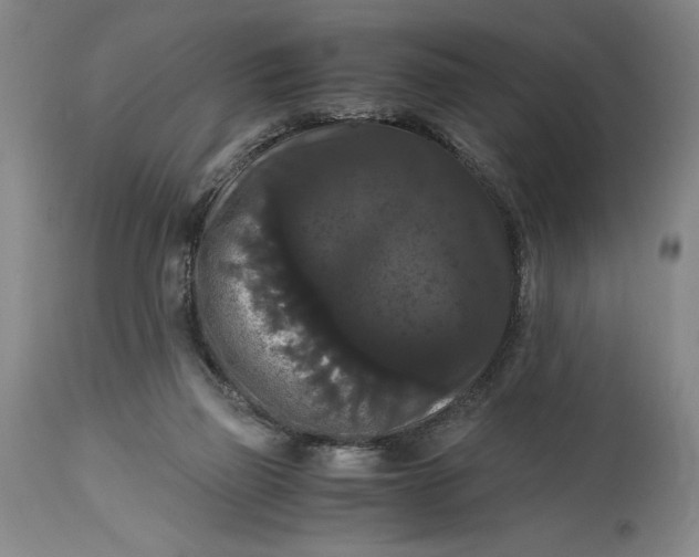 X0000114620165200911101222