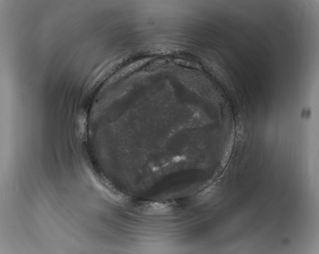 X0000114620166200911101222