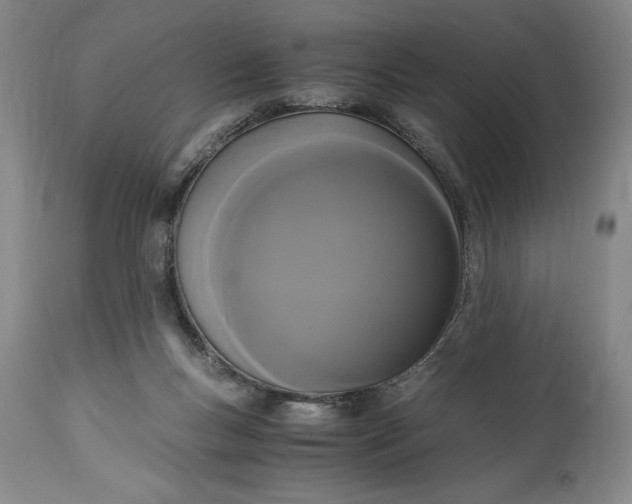 X0000114620167200911101222
