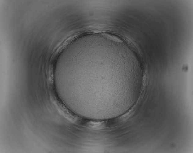 X0000114620170200911101222