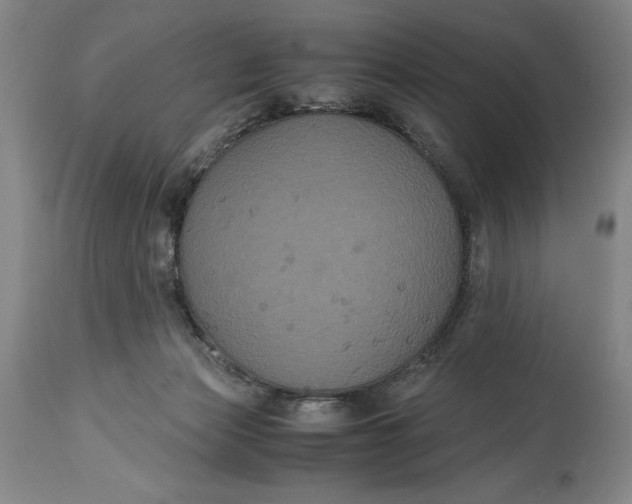 X0000114620173200911101222