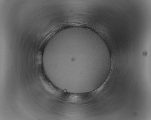 X0000114620174200911101222