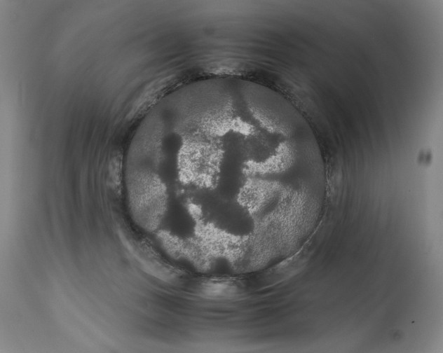 X0000114620175200911101222
