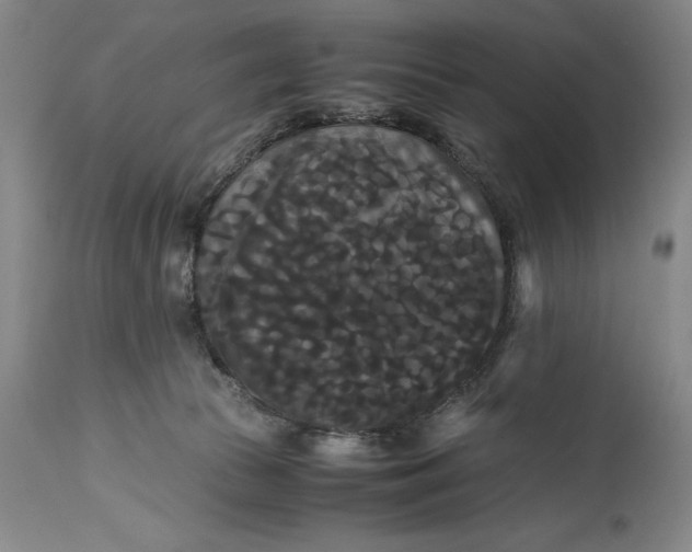 X0000114620177200911101222