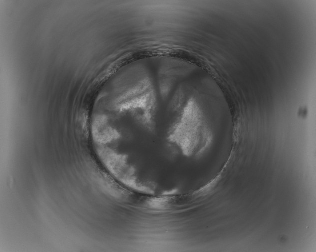 X0000114620178200911101222