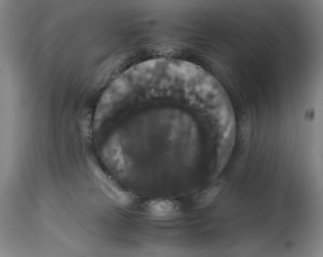 X0000114620181200911101222