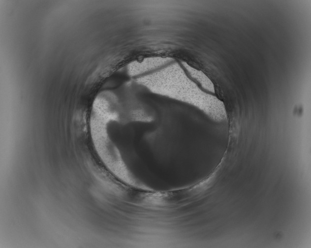 X0000114620182200911101222