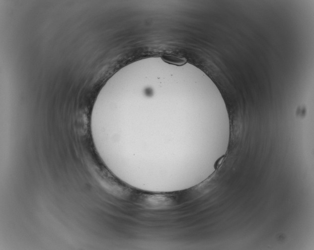 X0000114620183200911101222