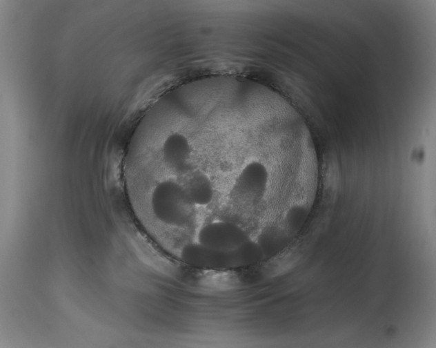 X0000114620185200911101222