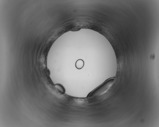 X0000114620187200911101222