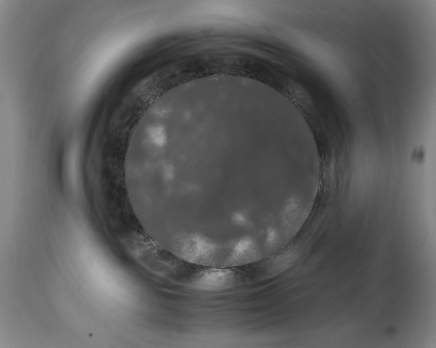 X0000114620189200911101222