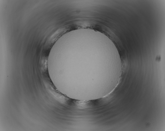 X0000114620191200911101222