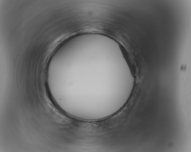 X0000114620193200911101222