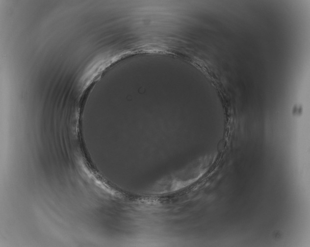 X0000114620194200911101222