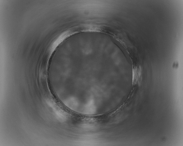 X0000114620195200911101221