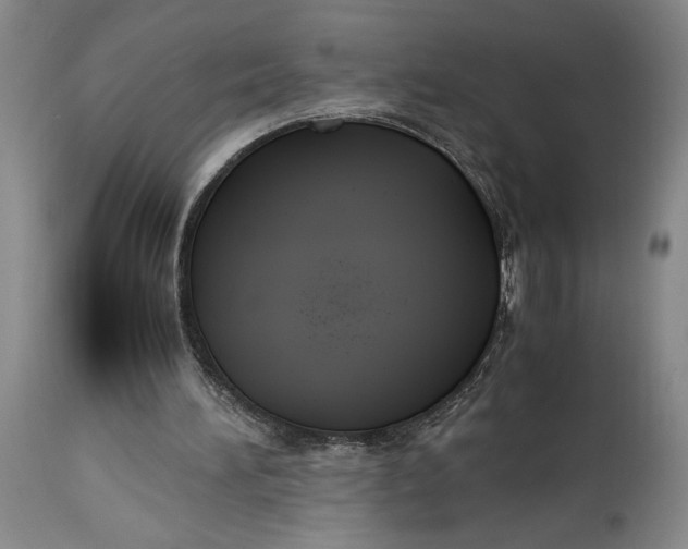 X0000114620196200911101221
