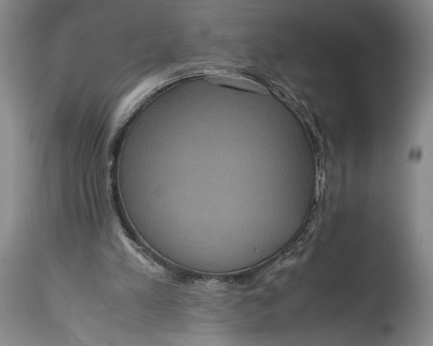 X0000114620197200911101221
