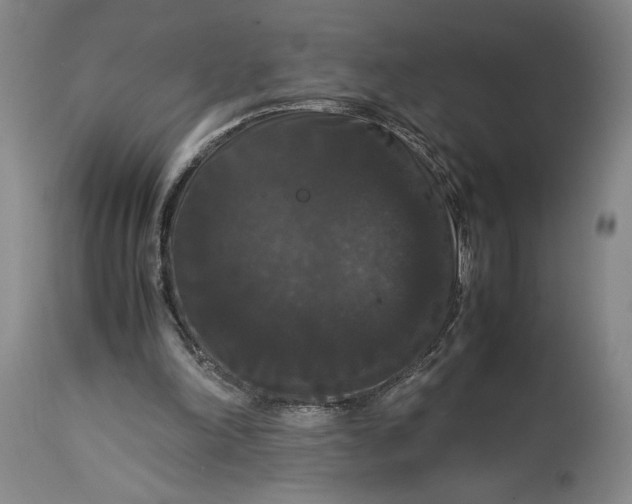 X0000114620198200911101221