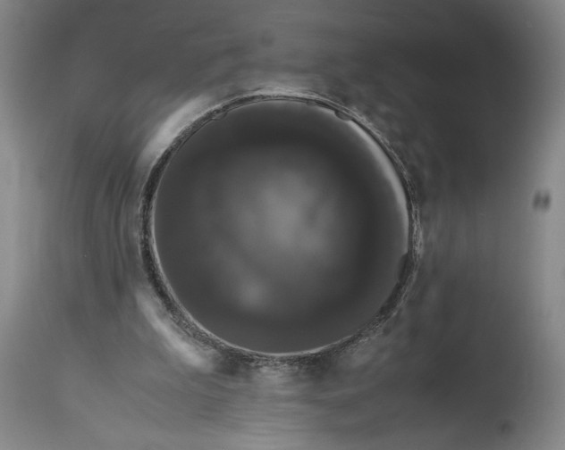 X0000114620199200911101221