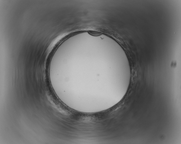 X0000114620200200911101221