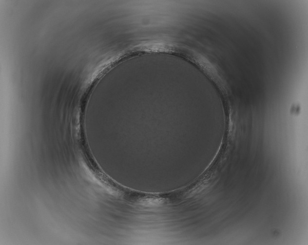 X0000114620202200911101221
