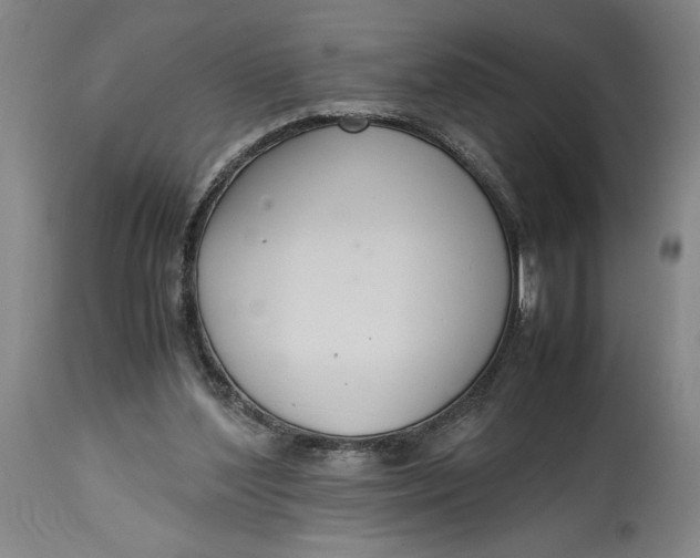 X0000114620204200911101221