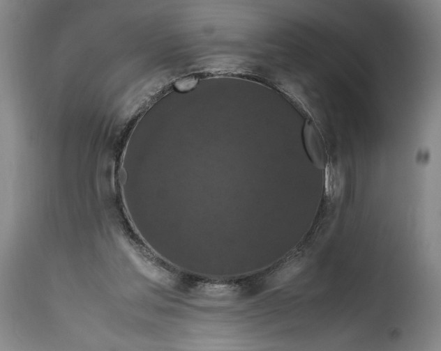 X0000114620205200911101221