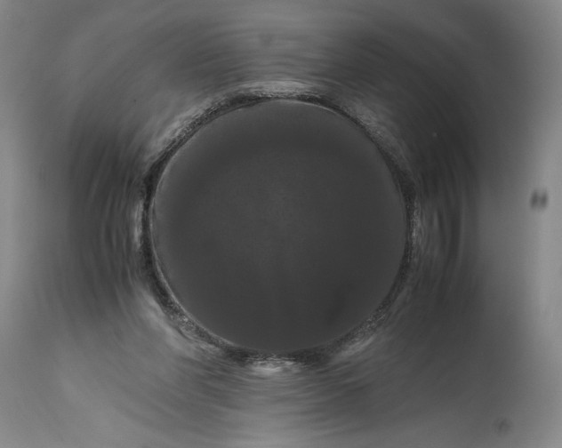 X0000114620206200911101221
