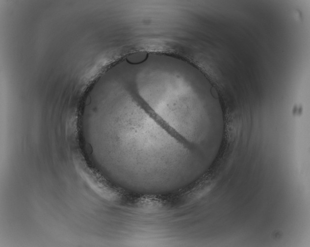 X0000114620207200911101221