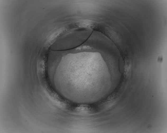 X0000114620211200911101221