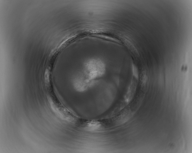 X0000114620214200911101221