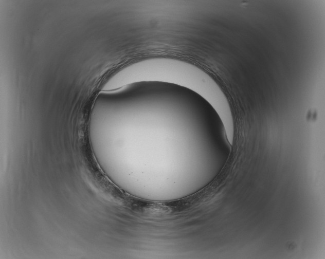 X0000114620215200911101221