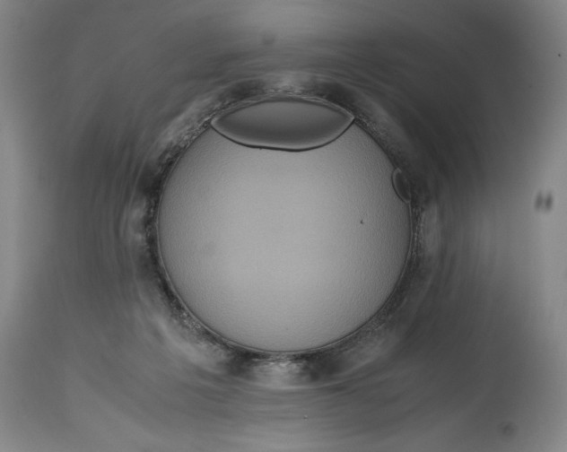 X0000114620217200911101221