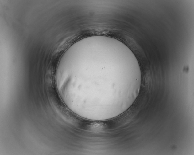 X0000114620218200911101221