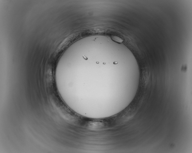 X0000114620220200911101221
