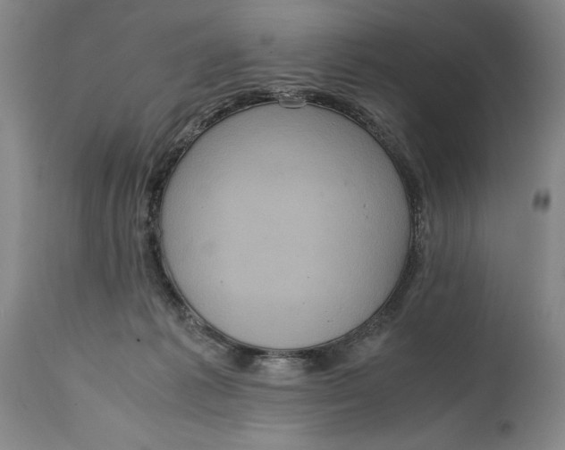 X0000114620221200911101221