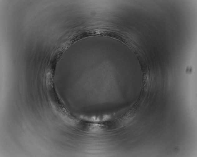 X0000114620222200911101221