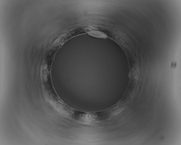 X0000114620223200911101221