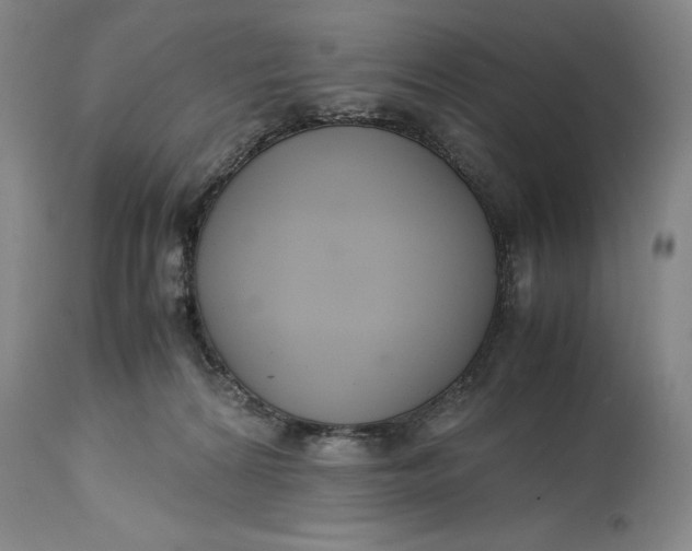 X0000114620224200911101221