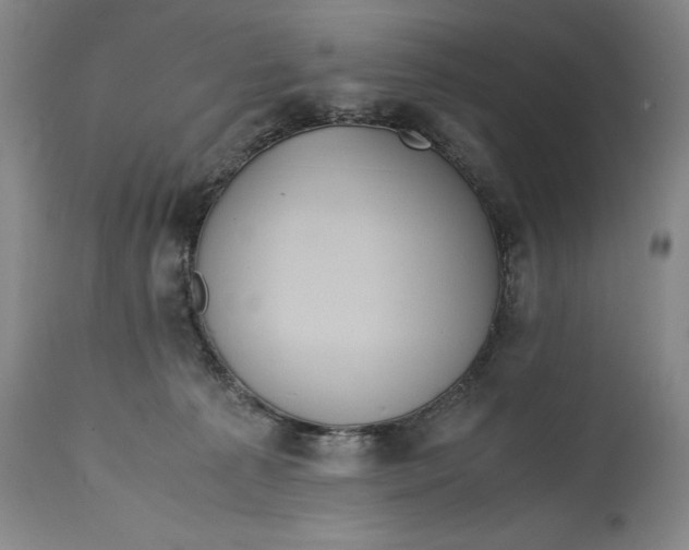 X0000114620225200911101221