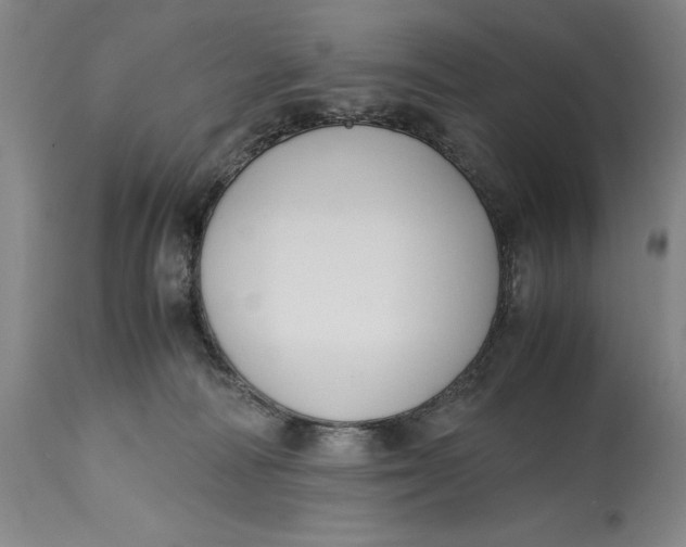 X0000114620226200911101221