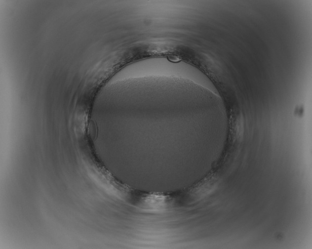 X0000114620227200911101221