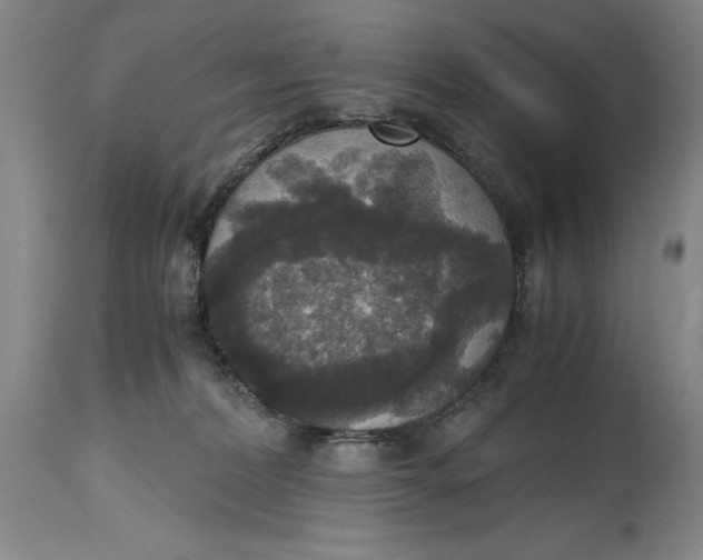 X0000114620228200911101221
