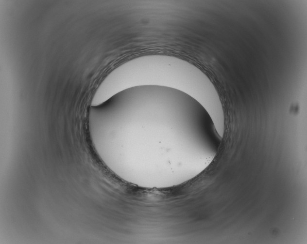 X0000114620229200911101221