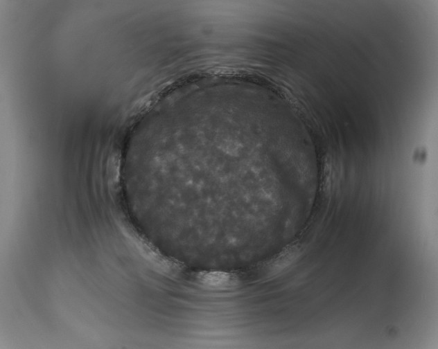 X0000114620230200911101221