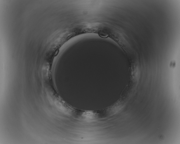 X0000114620231200911101221