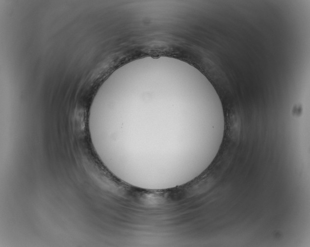X0000114620232200911101221
