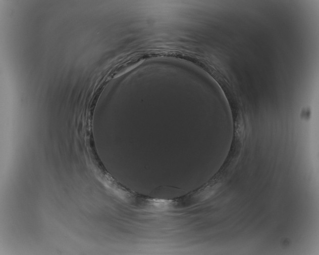 X0000114620233200911101221