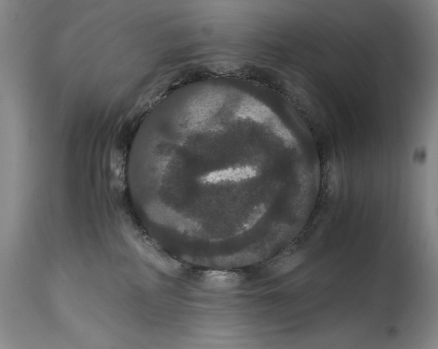 X0000114620234200911101221